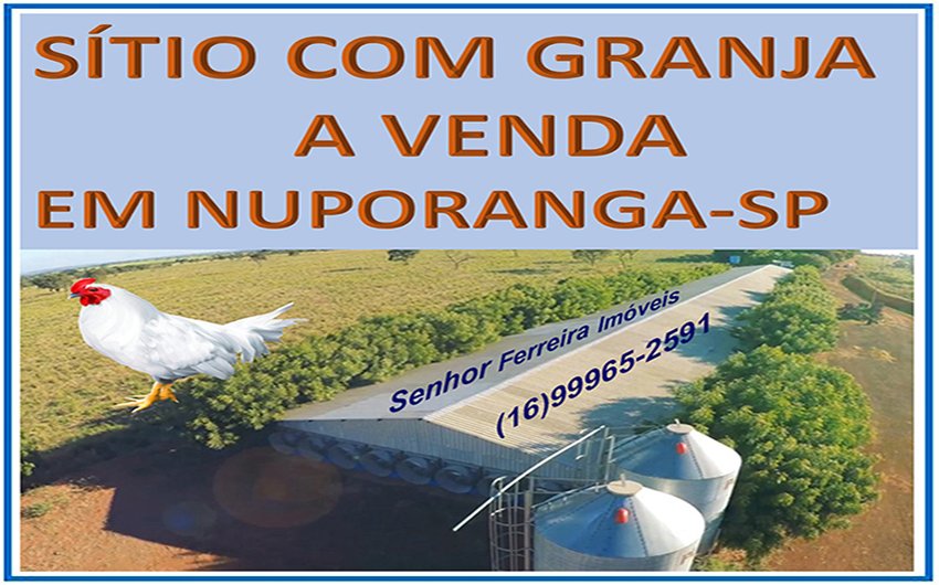 Stio - Venda - Nuporanga - Nuporanga - SP