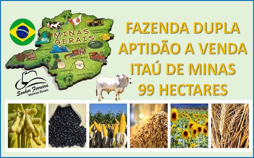 Fazenda - Venda - Ita de Minas - Ita de Minas - MG